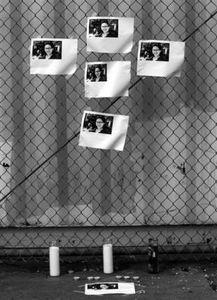 新闻诡异爆料视频播放,新闻诡异爆料引发网友热议  第3张